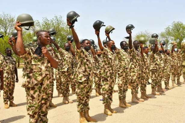 Nigerian Army Declares Three-Day Mourning For 17 Soldiers Killed In Niger Attack