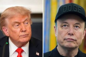 Trump Fires Back At Elon Musk, Says He May Have To Return To South Africa