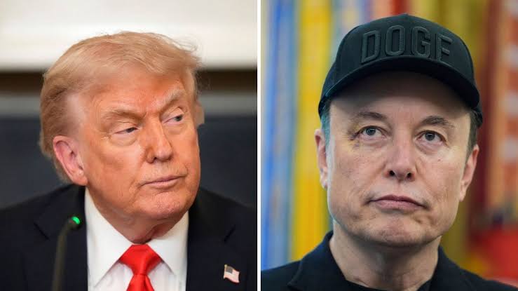 Trump Fires Back At Elon Musk, Says He May Have To Return To South Africa