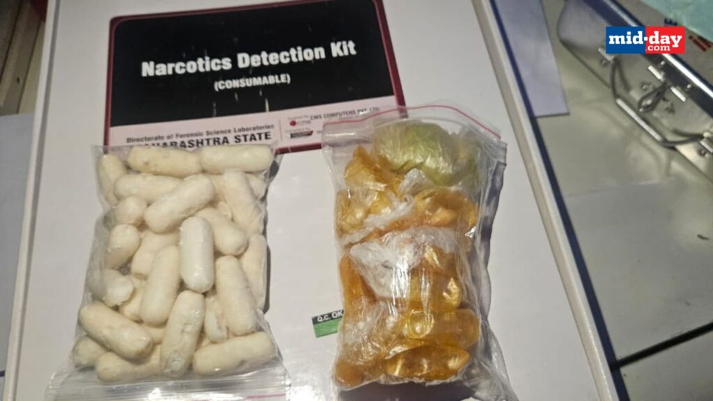 Nigerian Woman Arrested In India With Cocaine Worth Over ₦254 Million ...