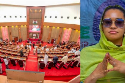 Court Orders Senate To Recall Suspended Kogi Senator Natasha Akpoti-Uduaghan