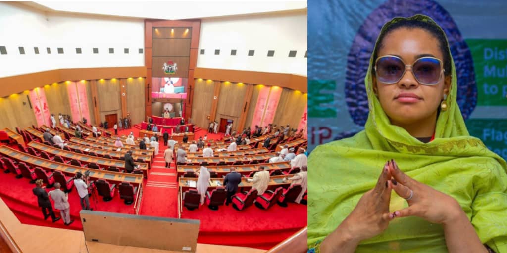 Court Orders Senate To Recall Suspended Kogi Senator Natasha Akpoti-Uduaghan