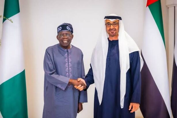 UAE Imposes Strict Visa Rules For Nigerians, Bans Transit Visa Applications