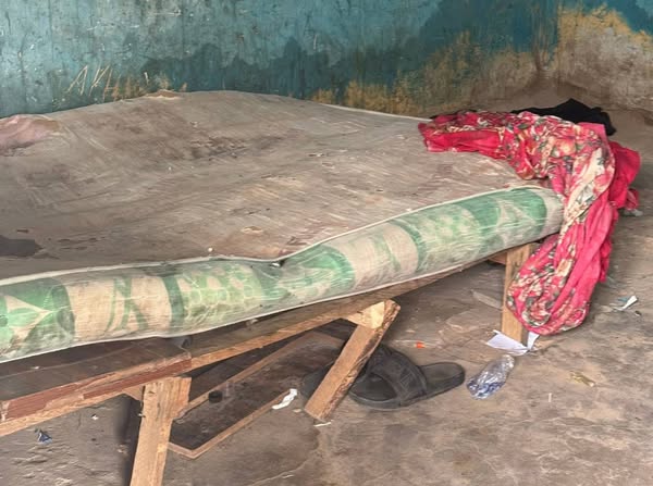 Many Arrested as Police, NDLEA, DSS Raid Notorious Drug Dens And Brothels In Yobe [Photos]