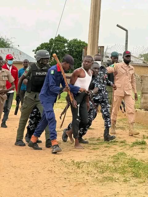 Many Arrested As Police, NDLEA, DSS Raid Notorious Drug Dens And Brothels In Yobe [Photos] 6
