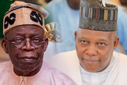 Shettima Didn’t Criticize Tinubu Over Fubara’s Suspension - Presidency