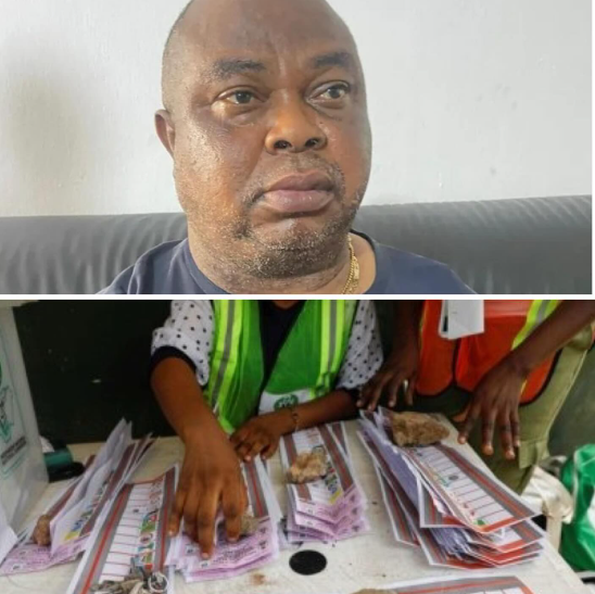 Despite Our Contributions, Igbos Are Denied Right To Contest Or Vote In Lagos – Ohanaeze