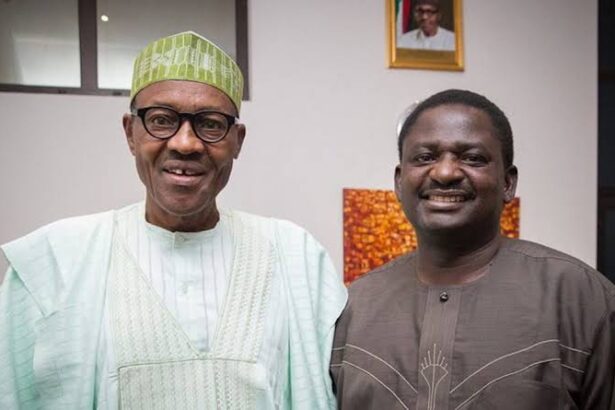 Buhari Would've Died Long Ago If He Had Used Nigerian Hospitals - Femi Adesina [Video]