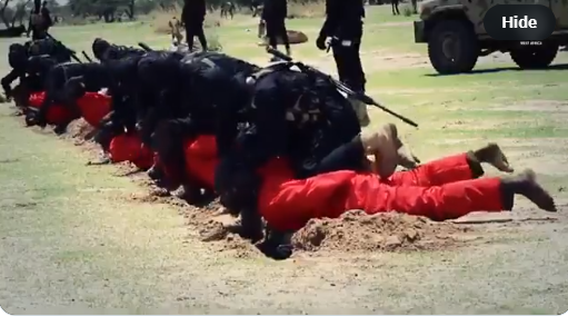 ISWAP Terrorists Execute Seven Civilian JTF And Hunters In Borno [Photos]