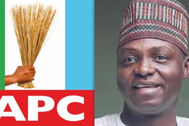 Nentawe Yilwatda Elected As New APC National Chairman