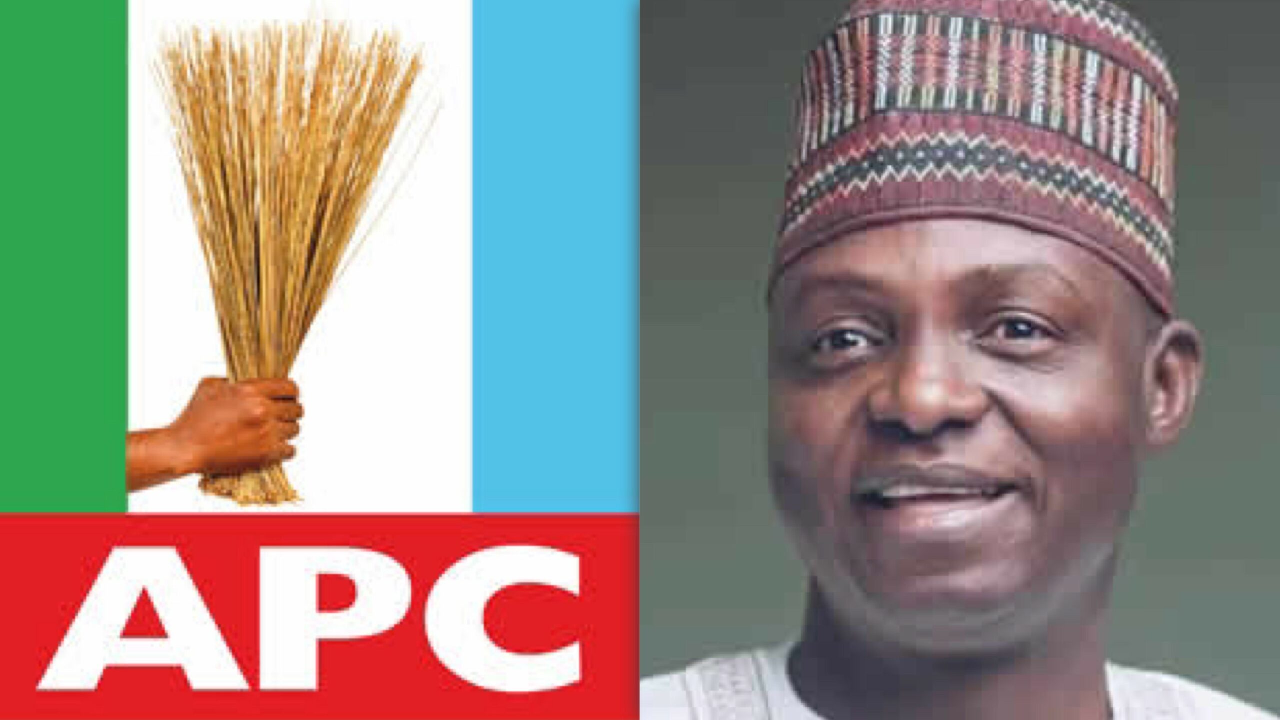 Nentawe Yilwatda Elected As New APC National Chairman