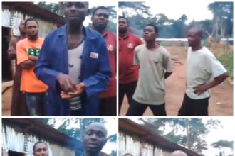 NIDCOM Reacts To Video Of Nigerians Crying For Help In Central African Republic