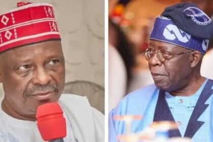 Presidency Refutes Kwankwaso’s Claim, Says North Not Neglected Under Tinubu