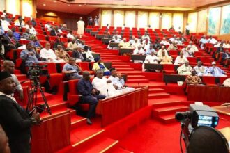 Senate Condemn Calls For Deportation Of Nigerians From Ghana