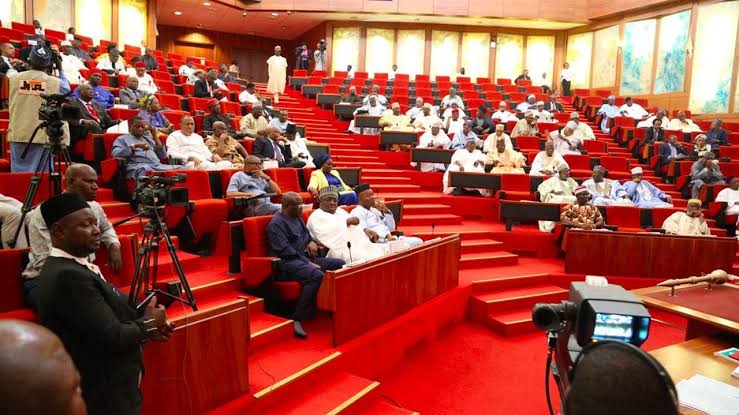 Senate Condemn Calls For Deportation Of Nigerians From Ghana