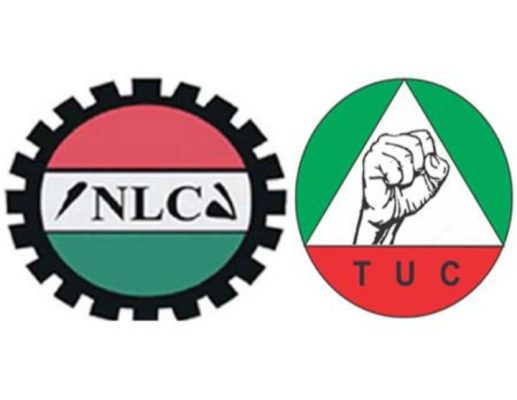 Labour Unions Declare Indefinite Strike In Taraba