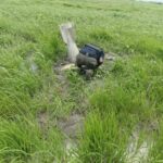 Police Uncover Bomb On Farmland In Borno [Photos]