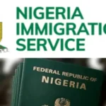 Nigerians To Pay More As NIS Increases Passport Fees By 100%