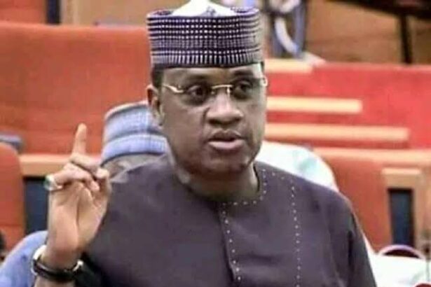 Senator Kabiru Marafa Resigns From APC Over Alleged Betrayal And Disunity