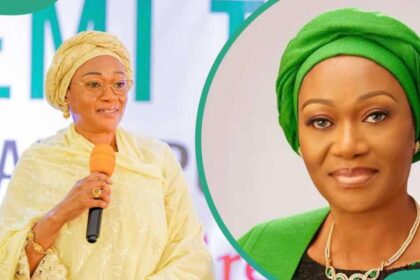 Over N20bn Donated To My Birthday Fund For National Library Project - Remi Tinubu