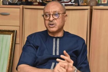 Court Declares Pat Utomi’s Shadow Cabinet Unlawful, Calls It Threat To Stability 45 Court Declares Pat Utomi’s Shadow Cabinet Unlawful, Calls It Threat To Stability