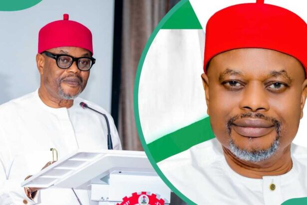 Uche Nnaji Loses Court Bid To Stop UNN From Releasing His Academic Records