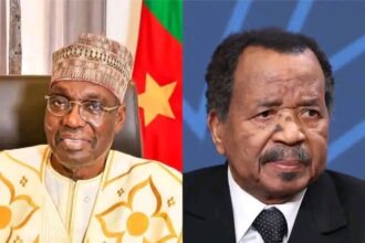 Issa Tchiroma Defeats Paul Biya In Cameroon’s Presidential Election