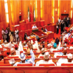 Senate Passes Bill To Establish Nigeria Mines Rangers Service