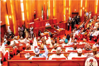 Senate Passes Bill To Establish Nigeria Mines Rangers Service