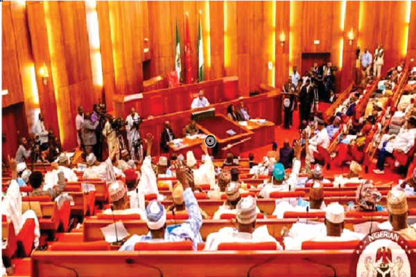 Senate Passes Bill To Establish Nigeria Mines Rangers Service 