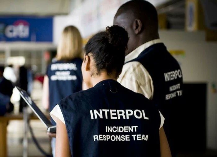 Interpol Arrests 11 High-Level Members Of Terrorist Groups In Nigeria