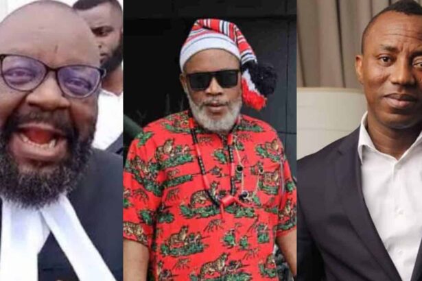 Court Grants Bail To Sowore, Nnamdi Kanu’s Lawyer, Brother, Other Protesters