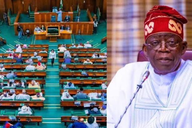 Reps Approve Tinubu’s Request To Borrow $2.35bn, Issue $500m Sovereign Sukuk