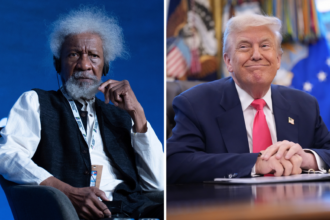 "Trump Is A Petty-Minded Dictator" - Soyinka Says After U.S Revoked His Visa