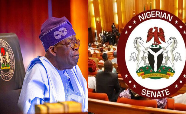Senate Approves Tinubu’s N1.15tn Domestic Loan To Fund 2025 Budget Deficit