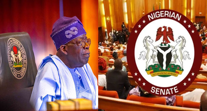 Senate Approves Tinubu’s N1.15tn Domestic Loan To Fund 2025 Budget Deficit