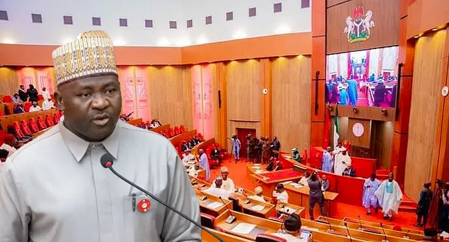 Senate Confirms General Christopher Musa As Defence Minister 1 Senate Confirms General Christopher Musa As Defence Minister