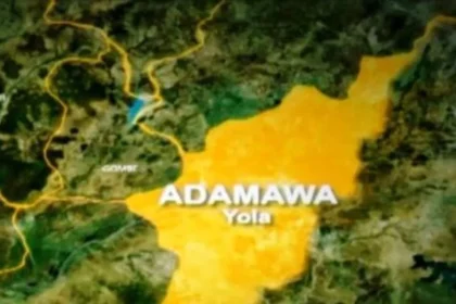 Adamawa Government Imposes 24-Hour Curfew On Lamurde LGA Due To Violence