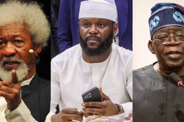 Security Guarding Seyi Tinubu Enough To Crush Benin Republic Uprising - Soyinka