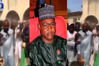 Angry Constituents Attack Zamfara Lawmaker Over Alleged Neglect, Poor Performance [Video]