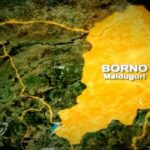 Vice Chairman, Two Councillors, Others Kidnapped By Terrorists In Borno