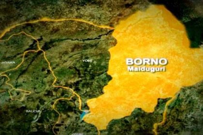 Vice Chairman, Two Councillors, Others Kidnapped By Terrorists In Borno