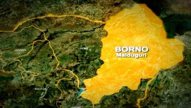 Vice Chairman, Two Councillors, Others Kidnapped By Terrorists In Borno