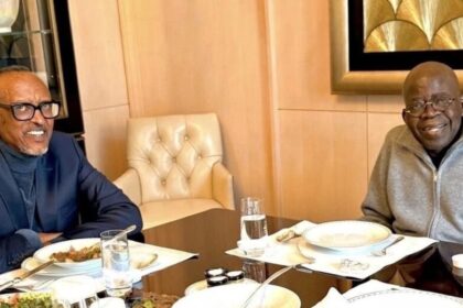 Outrage As Presidential Aide Shares Fake AI Image Of ‘Tinubu Meeting Kagame'