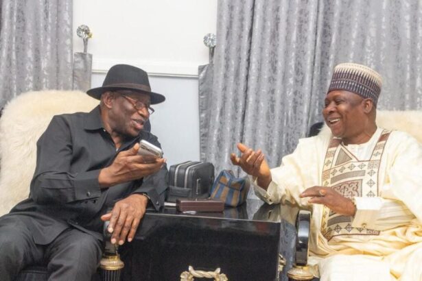 What Jonathan Told Us When We Solicited His Support - PDP Chairman