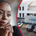 Chimamanda Adichie Serves Euracare Hospital With Legal Notice Over Son’s Death