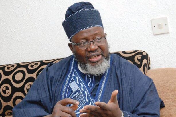 I'll Introduce Sharia Law In Oyo If Elected Governor In 2027 - Adebayo Shittu