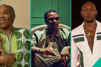 Seun Kuti And Wizkid's Fight Over Fela Is Unnecessary – Femi Kuti [Video]