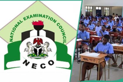 NECO Announces Release Of 2025 SSCE External Examination Results
