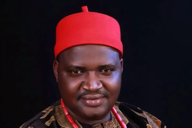 APC's Christopher Maikalangu Emerges Winner Of AMAC Chairmanship In FCT Polls